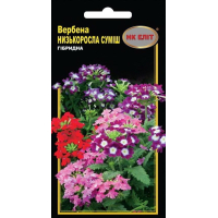 Семена - Вербена Низкорослая смесь, гибридная, 0,1 г.