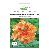Семена - Вербена Абрикосовая, крупноцветковая, Hem Zaden (Нидерланды), 0,1 г.