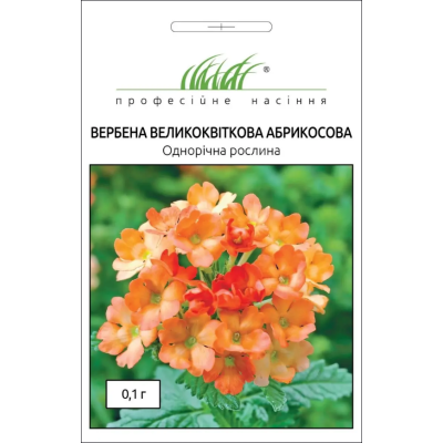 Насіння - Вербена Абрикосова, великоквіткова, Hem Zaden (Нідерланди), 0,1 г.