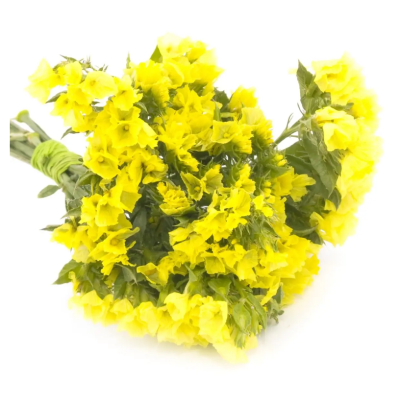 Семена - Статица Золотой берег, выемчатая, Hem Zaden (Нидерланды), 0,1 г.