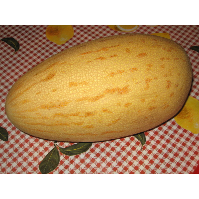 Семена - Дыня Бессарабия, 20 шт.