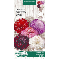 Семена - Скабиоза Пурпурная, смесь, 0,3 г.