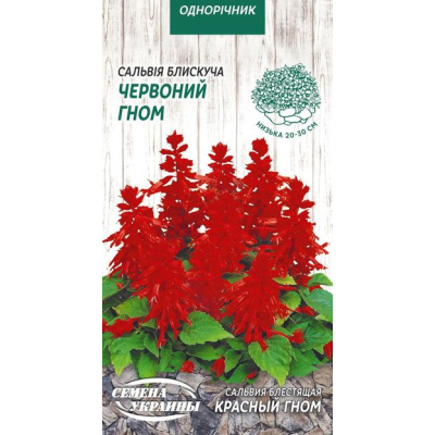 Насіння - Сальвія блискуча Червоний гном, 0,2 г.