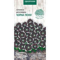 Семена - Немофила Черная пэнни, дисковидная, 0,3 г.