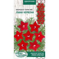 Семена - Квамоклит перистый Лиана красная, 0,25 г.