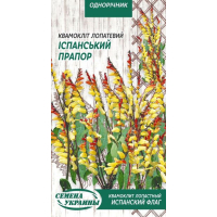 Семена - Квамоклит лопастный Испанский флаг, 0,25 г.