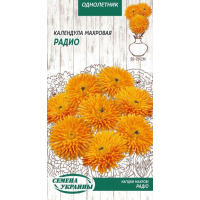 Насіння - Нагідки Радіо, махрова, 0,5 г.