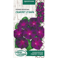 Насіння - Іпомея японська Скарлет О Хара, 1 г.