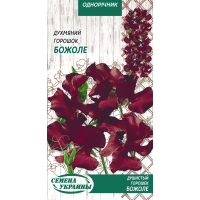 Насіння - Духмяний горошок Божоле, 1 г.
