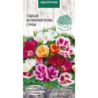 Семена - Годеция крупноцветковая, смесь, 0,2 г.
