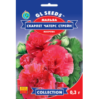 Насіння – Мальва Скарлет Чатерс Стрейн, махрова // 0,3 г.