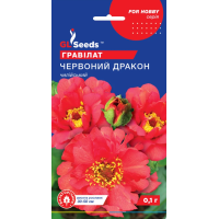 Насіння - Гравілат Червоний дракон, 0,1 г.