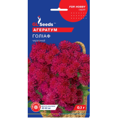 Семена - Агератум Голиаф, 0,1 г. Семена - Агератум Голиаф, 0,1 г.