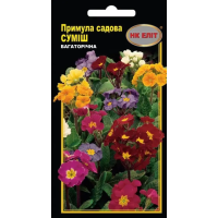 Семена - Примула садовая, смесь, 0,1 г.