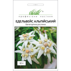 Насіння - Едельвейс Альпійський, Hem Zaden (Нідерланди), 1 г. Насіння - Едельвейс Альпійський, Hem Zaden (Нідерланди), 1 г.