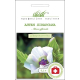 Семена - Алтей Лекарственный, Hem Zaden (Нидерланды), 0,1 г.
