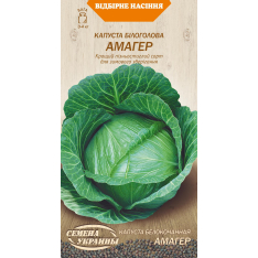 Семена - Капуста б/к Амагер, 1 г. Семена - Капуста б/к Амагер, 1 г.