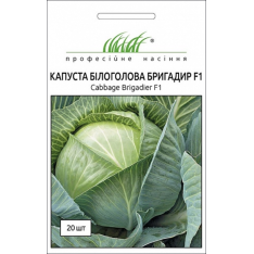 Семена - Капуста б/к Бригадир F1, Clause (Франция), 20 шт. Семена - Капуста б/к Бригадир F1, Clause (Франция), 20 шт.
