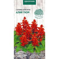 Насіння - Сальвія блискуча Алий гном, 0,2 г.