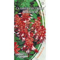 Семена - Сальвия блестящая Биколор, низкорослая, 0,2 г. Семена - Сальвия блестящая Биколор, низкорослая, 0,2 г.