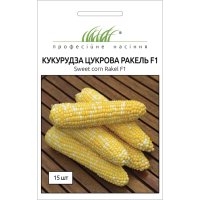 Насіння - Кукурудза Ракель F1, біколор, Clause (Франція), 15 шт.