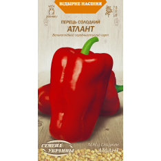 Семена - Перец сл. Атлант, 0,25 г. Семена - Перец сл. Атлант, 0,25 г.