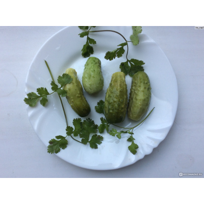 Семена - Огурец Бригадный, 15 шт.