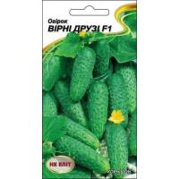 Семена - Огурец Верные друзья F1, 15 шт.