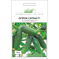 Семена - Огурец Сатина F1, Nunhems Zaden (Голландия), 10 шт.