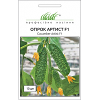 Насіння - Огірок Артист F1, Bejo Zaden (Голландія), 10 шт. Насіння - Огірок Артист F1, Bejo Zaden (Голландія), 10 шт.
