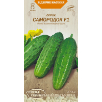 Насіння - Огірок Самородок F1, 0,5 г.