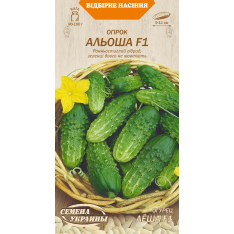 Насіння - Огірок Альоша F1, 0,5 г. Насіння - Огірок Альоша F1, 0,5 г.