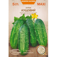 Семена - Эконом пак. - Огурец Кустовой, 5 г. 