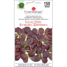 Насіння - Шпинат Бузкова дівчинка, японська (комацуна), 150 ... Насіння - Шпинат Бузкова дівчинка, японська (комацуна), 150 ...