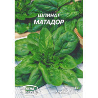 Насіння - Економ пак. - Шпинат Матадор, 20 г.