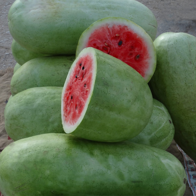 Семена - Арбуз Северный Триумф F2, 10 шт.