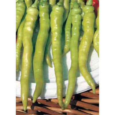 Насіння - Перець гострий Пепероні Сігаретта Біонда, 5 шт.