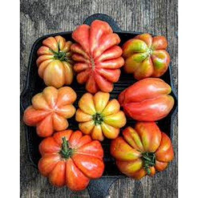 Насіння - Томат Етуаль, 0,1 г