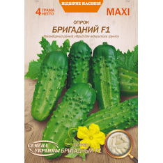 Насіння - Економ пак. - Огірок Бригадний F1, 4 г. Насіння - Економ пак. - Огірок Бригадний F1, 4 г.