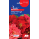 Семена - Настурция Императрица, крупноцветковая, 1 г.