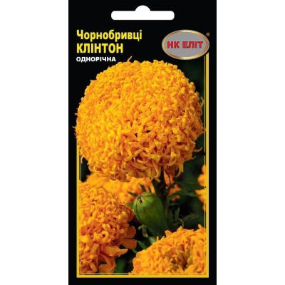 Насіння - Чорнобривці Клінтон, 0,5 г.