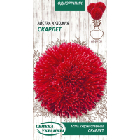 Семена - Астра Скарлет, художественная, 0,25 г.