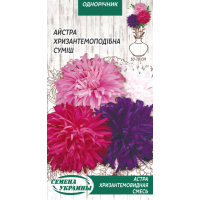 Семена - Астра Хризантемовидная, смесь, 0,25 г.