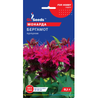 Семена - Монарда Бергамот, пурпурная, 0,1 г. Семена - Монарда Бергамот, пурпурная, 0,1 г.
