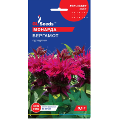 Насіння - Монарда Бергамот, пурпурова, 0,1 г. Насіння - Монарда Бергамот, пурпурова, 0,1 г.