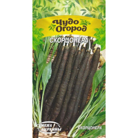 Семена - Скорцонера, 1 г.