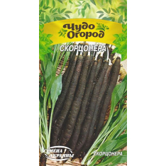 Насіння - Скорцонера, 1 г.