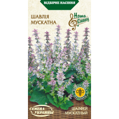 Насіння - Шавлія мускатна, 0,2 г.