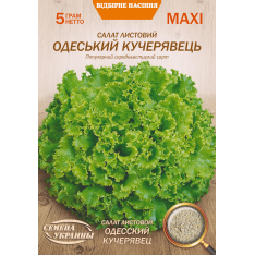 Насіння - Економ пак. - Салат Одеський кучерявець, листовий,... Насіння - Економ пак. - Салат Одеський кучерявець, листовий,...