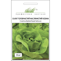 Насіння - Салат Козіма, головчастий, Wing Seed (Нідерланди),...
